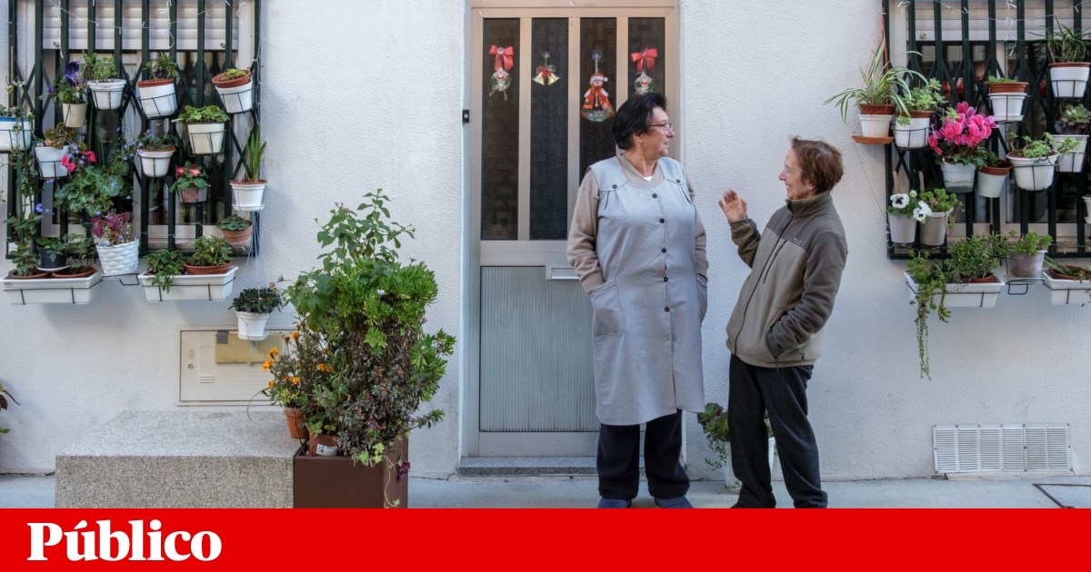 Porto City Council backtracks and permits residents' plant pots on Travessa das Águas