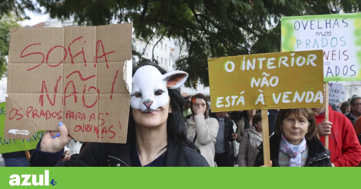 Demonstration brought Beira's opposition to mega solar plants to Lisbon