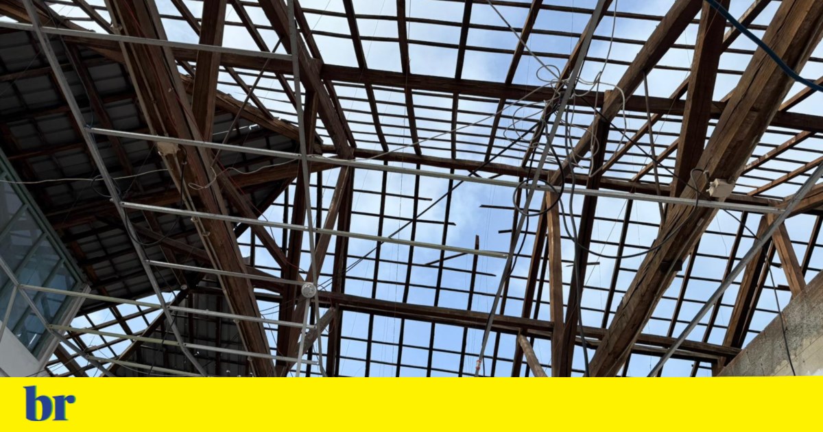 Brazilians report difficulties in Leiria after Storm Kristin