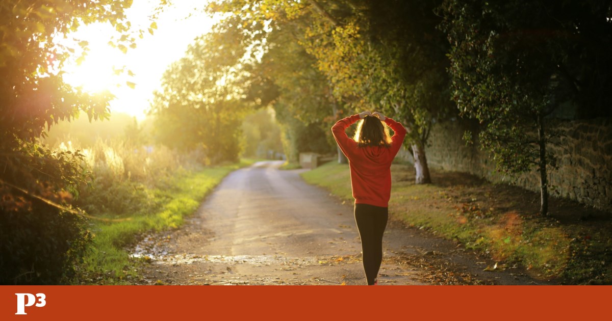 How neuroscience has helped tell a new story about mental health