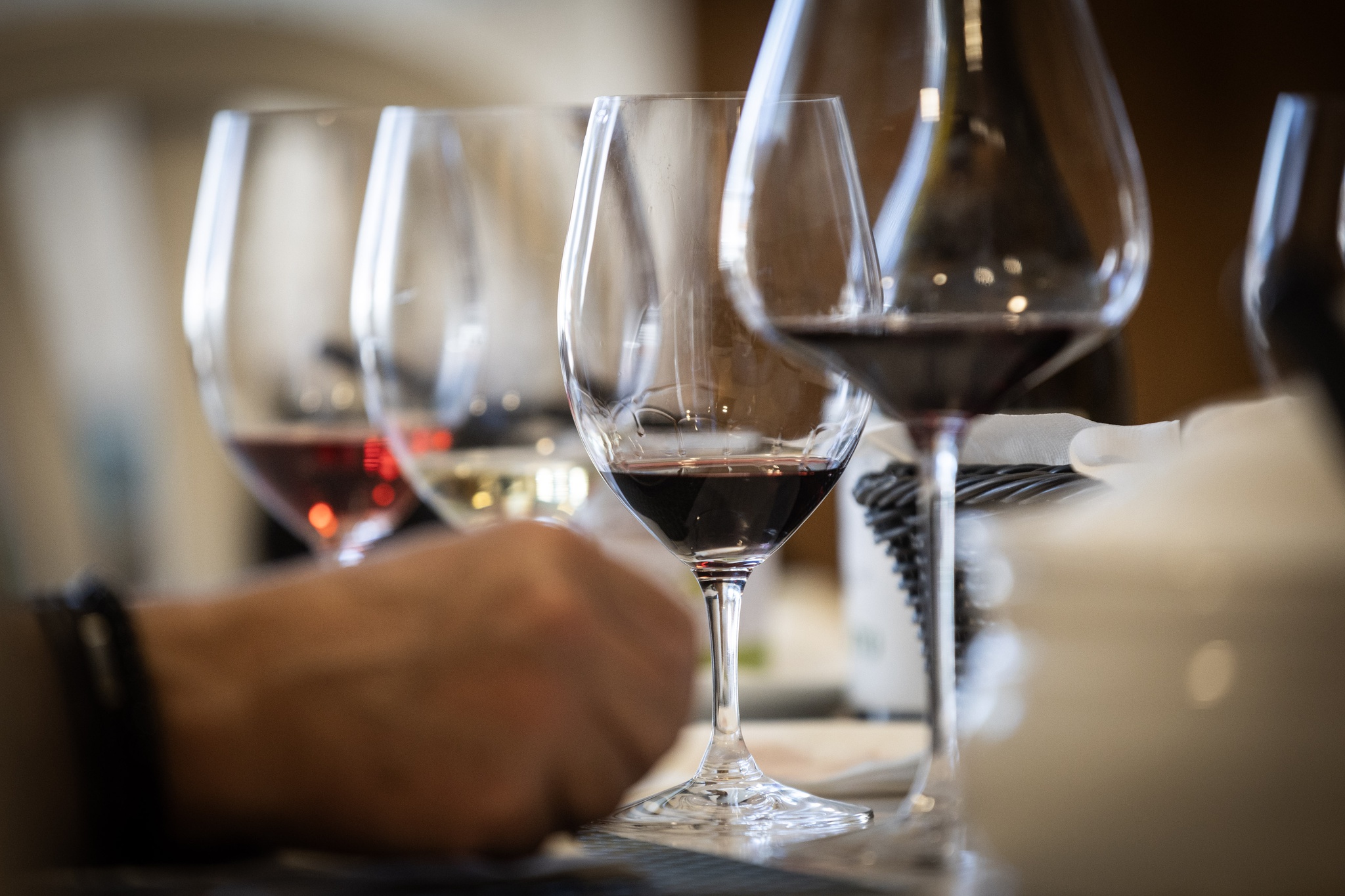 terroir,arte,vinhos,fugas,opiniao,