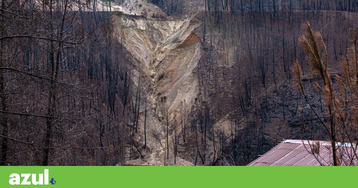 Panasqueira Mines: Quercus reports risk of toxic contamination in the Zêzere River