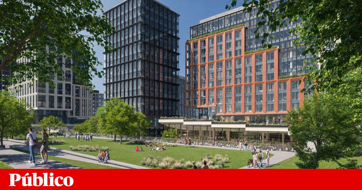 Entrecampos Project to be Completed by 2028. Future of the Jacaranda Trees Still Uncertain