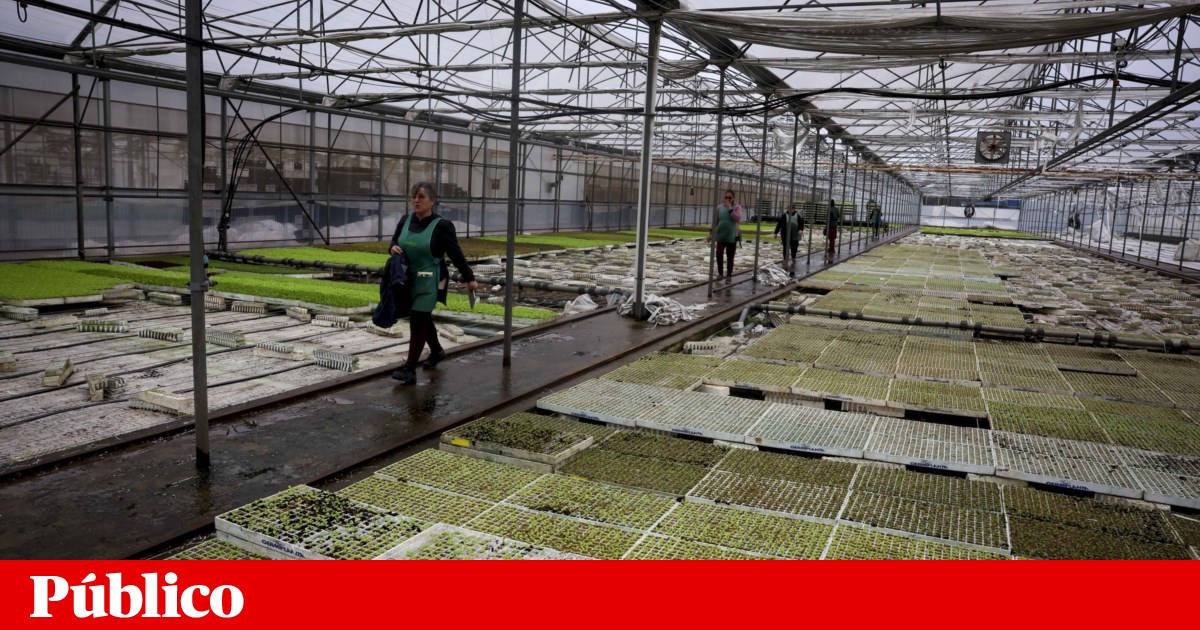 Support for families affected by the storm can reach up to 1074 euros per person