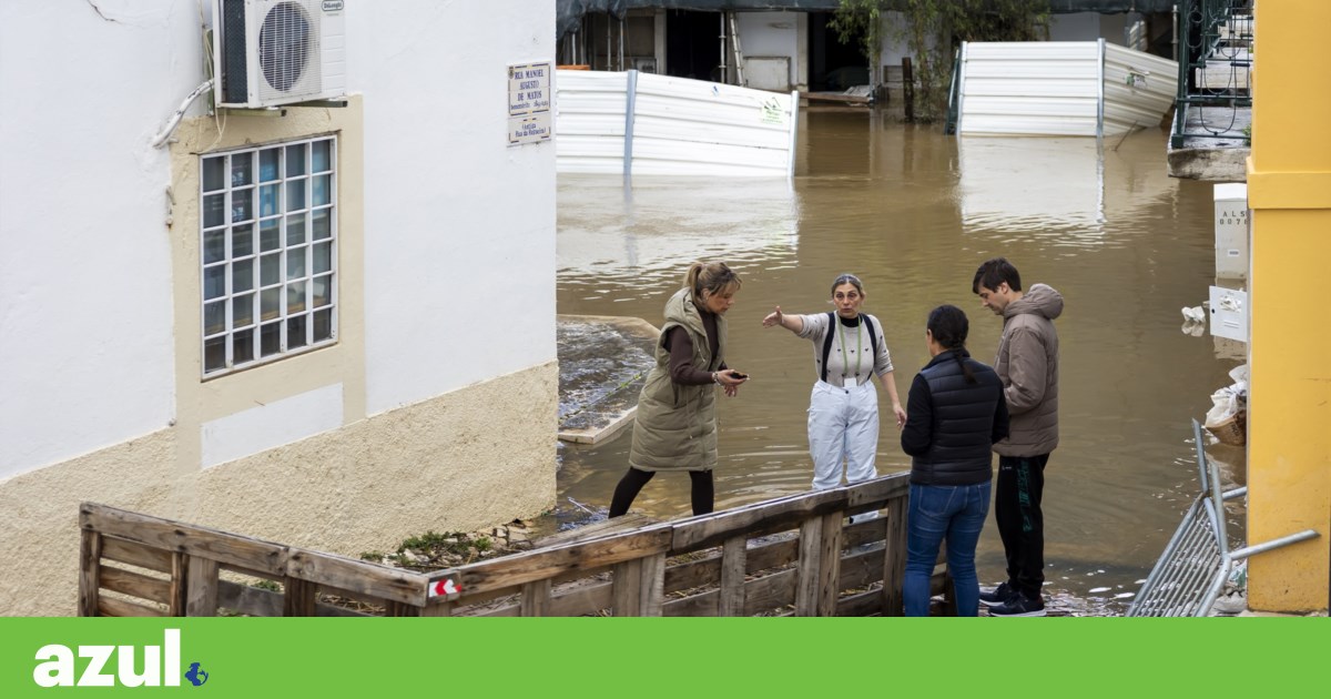 Environmentalists urge municipalities in Greater Lisbon to invest in permeable soils