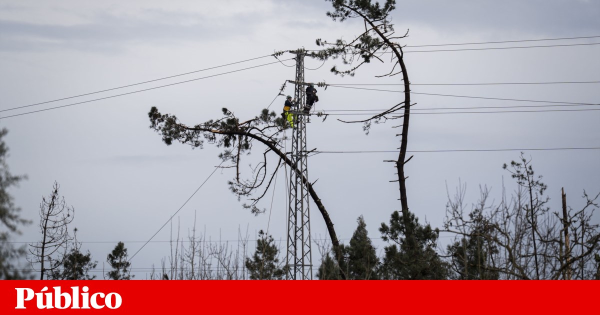 Ten days without electricity. "We are in the middle of everything and have nothing"