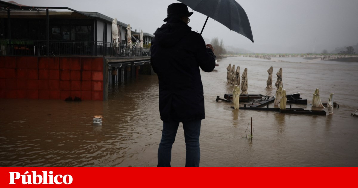 Reparações da A1 em Coimbra podem demorar “semanas”, A5 reabriu com condicionamentos Reparações da A1 em Coimbra podem demorar “semanas”, A5 reabriu com condicionamentos
