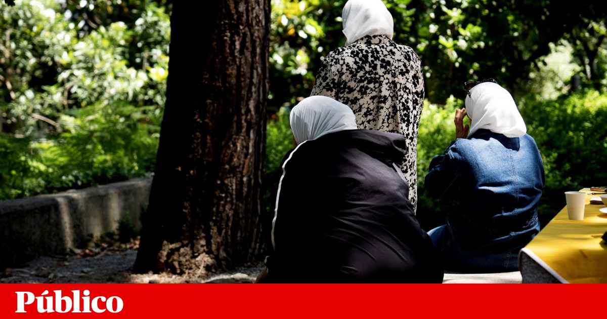 Pedidos de asilo desceram 23%. Fluxo é “praticamente inexistente” em Portugal | Refugiados Pedidos de asilo desceram 23%. Fluxo é “praticamente inexistente” em Portugal | Refugiados