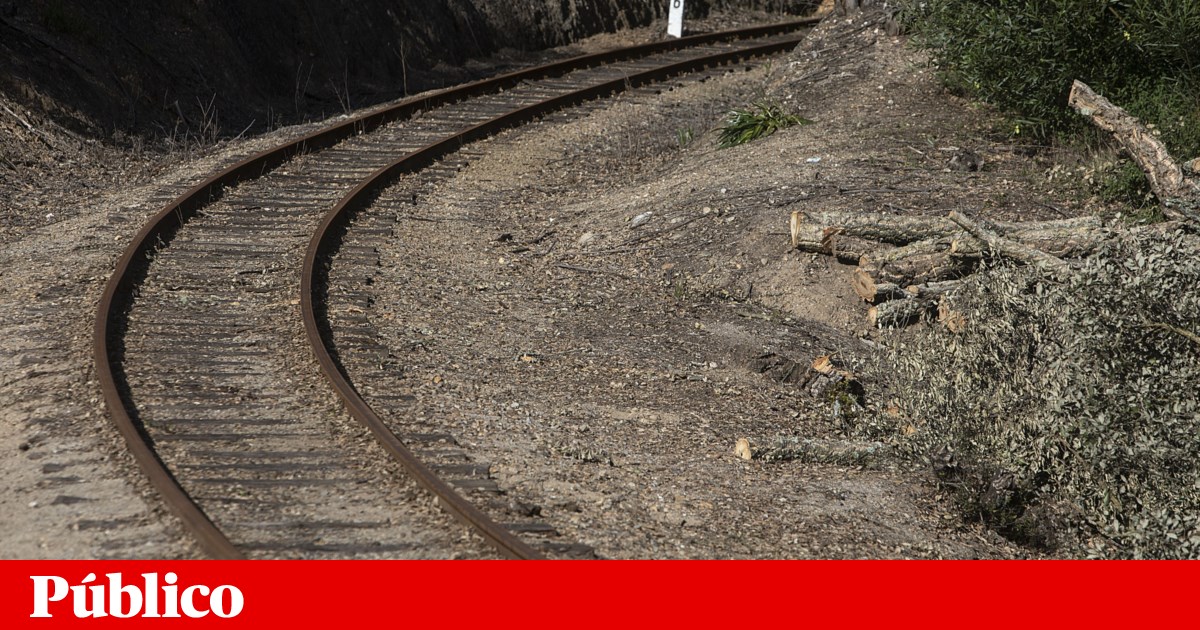 Comboios suprimidos na linha do Vouga por falta de PDA | Comboios Comboios suprimidos na linha do Vouga por falta de PDA | Comboios