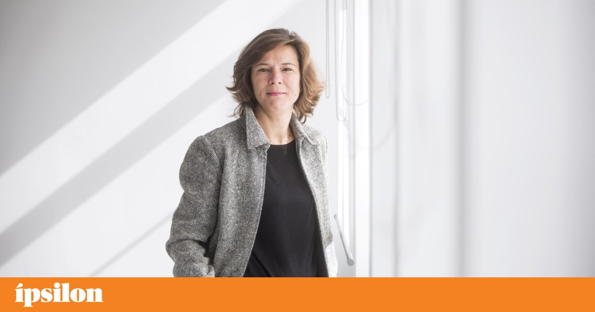 Artistas perdem meses de trabalho e galerias sofrem danos | Artes Artistas perdem meses de trabalho e galerias sofrem danos | Artes