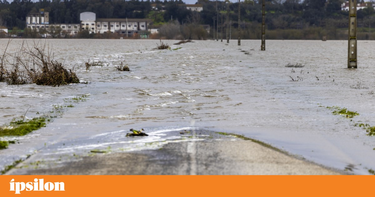 Mau tempo: arquitectos contestam agravamento de coimas na reconstrução pós-tempestade | Arquitectura Mau tempo: arquitectos contestam agravamento de coimas na reconstrução pós-tempestade | Arquitectura