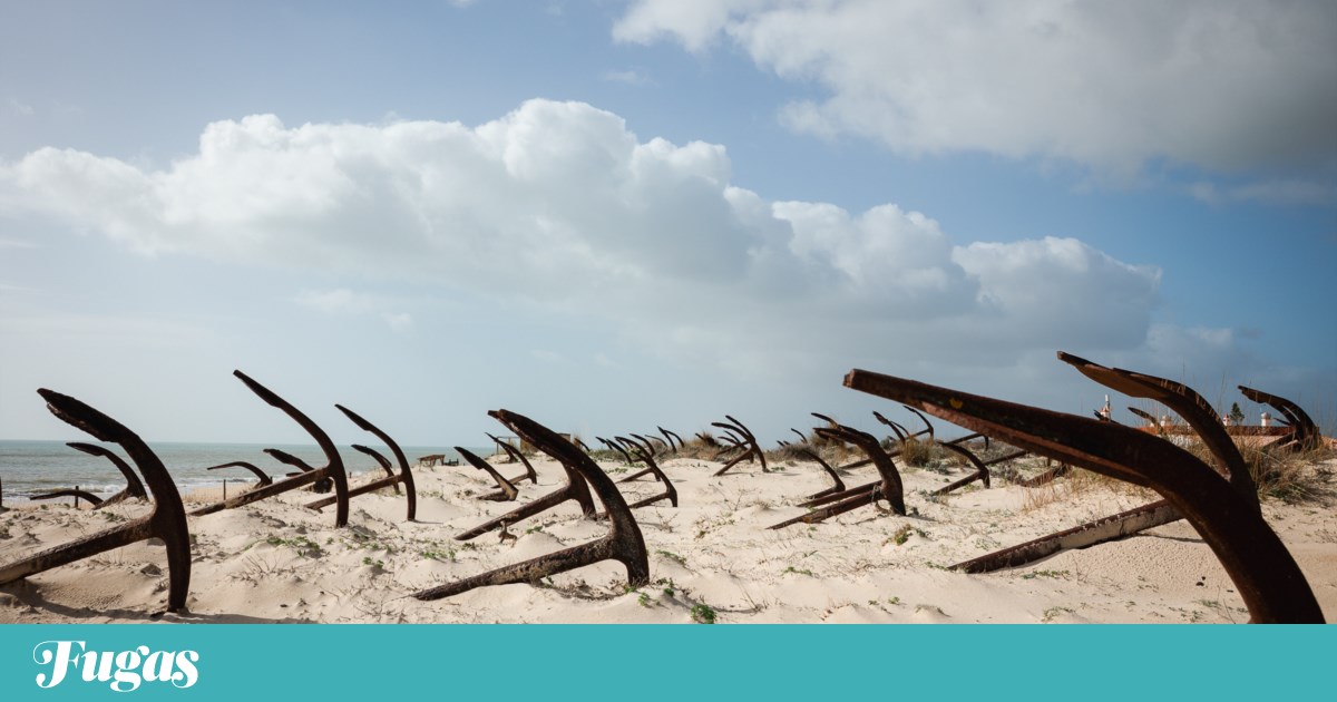 A Rota do Atum do Algarve: “A tourada do mar era uma coisa linda” | Reportagem A Rota do Atum do Algarve: “A tourada do mar era uma coisa linda” | Reportagem
