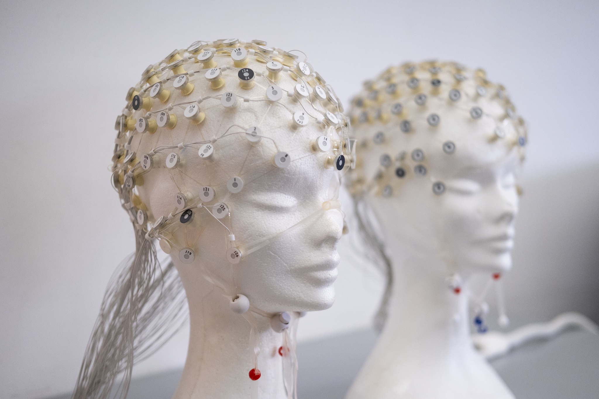 tbl Tiago Lopes - 2 marco 2020 - PORTUGAL, Porto - 30 anos do Publico - Aniversario - como sao as expectativas dos jovens de agora e de ha 30 anos - Ciencia - Cerebro Humano - O cerebro humano torna-se adulto durante a terceira decada de vida