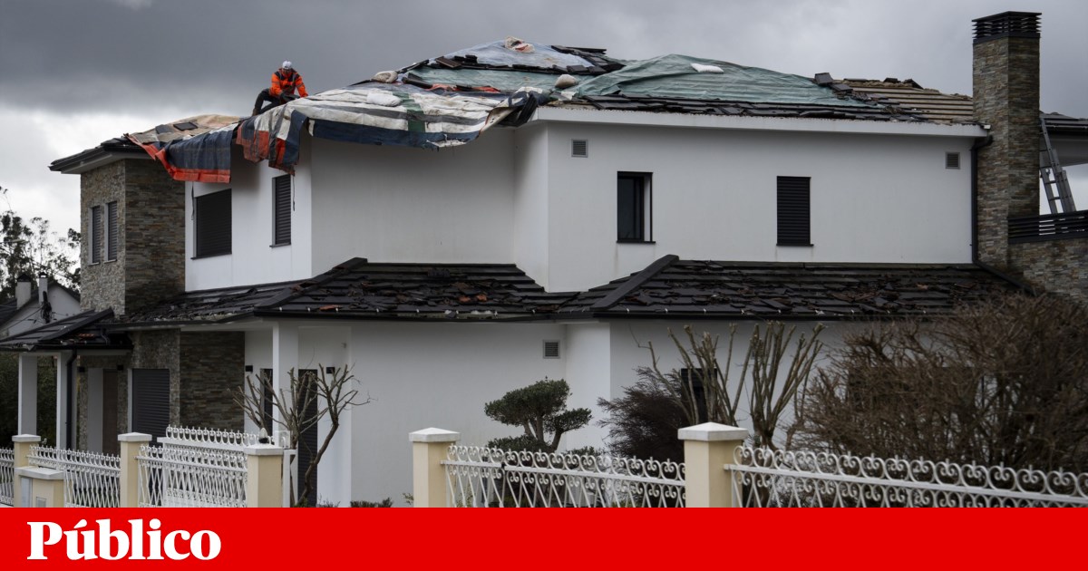 Payment of debts to the State in instalments ensures access to moratoriums and other support