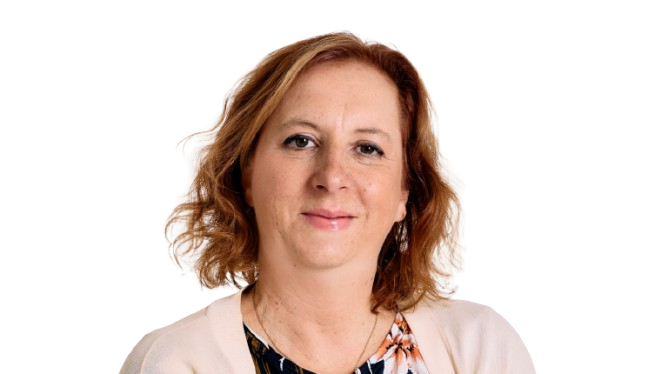 The New School of Law and the Internationalisation of Law in Portugal