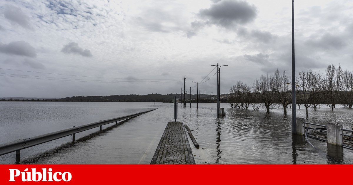 Reaberta estrada para Ereira, em Montemor-o-Velho, após vários dias de isolamento | Mau tempo Reaberta estrada para Ereira, em Montemor-o-Velho, após vários dias de isolamento | Mau tempo