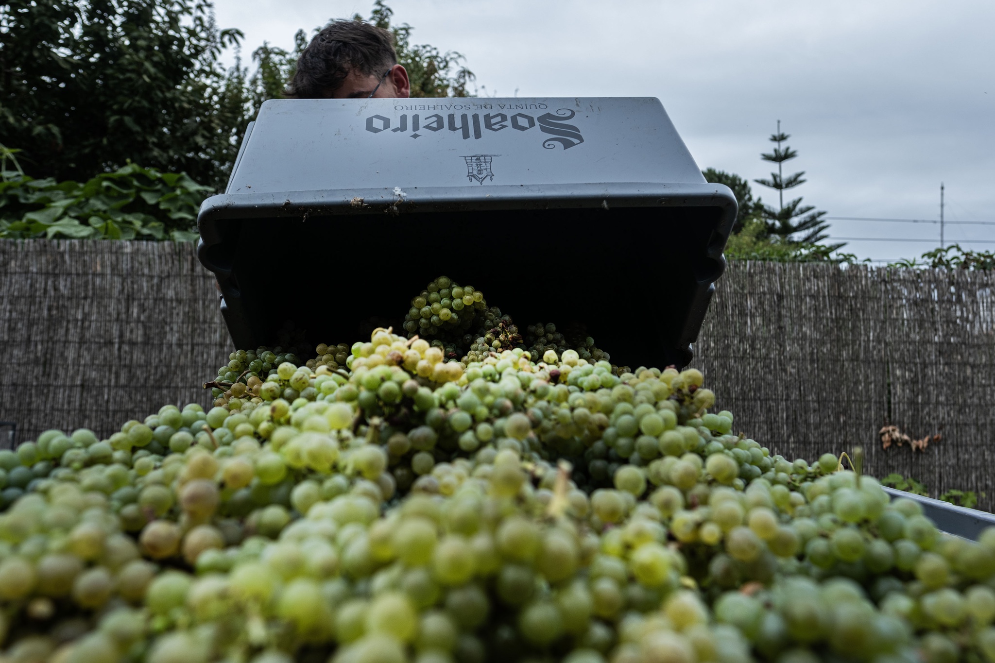 terroir,vinhos-verdes,critica,vinhos,fugas,