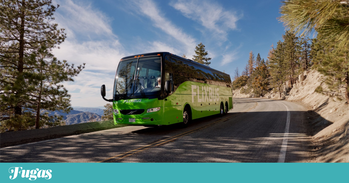 Mau tempo: FlixBus promete 150 mil viagens desde 2 euros para ajudar recuperação | Transportes Mau tempo: FlixBus promete 150 mil viagens desde 2 euros para ajudar recuperação | Transportes