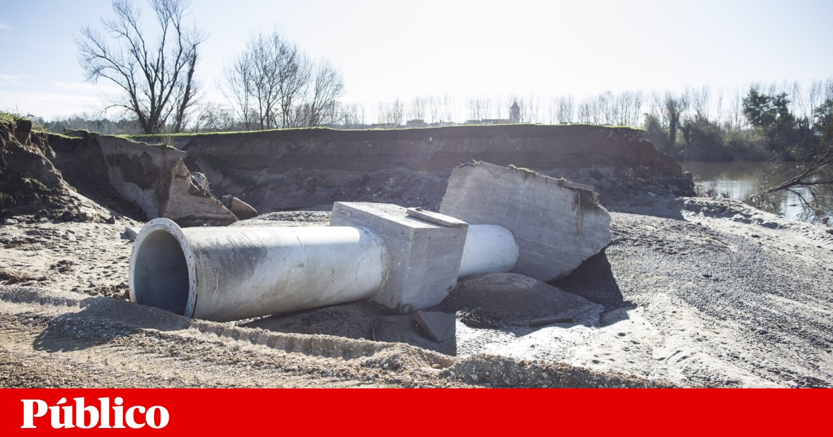 Temporary repair completed on Mondego dyke