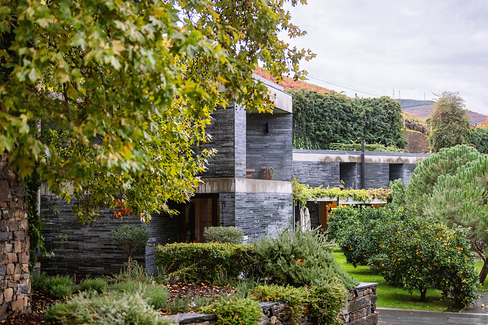 sup-fugas,enoturismo,vinhos,douro,fugas,porto,