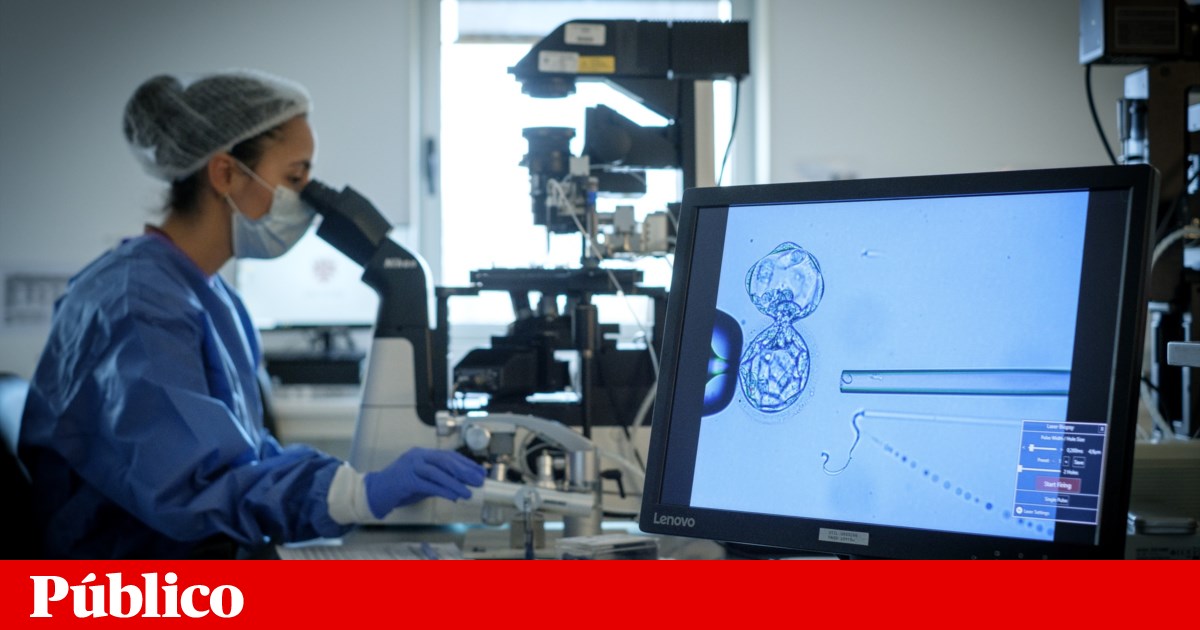 Assisted reproductive technology attracted patients from 99 countries to Portugal in 2023