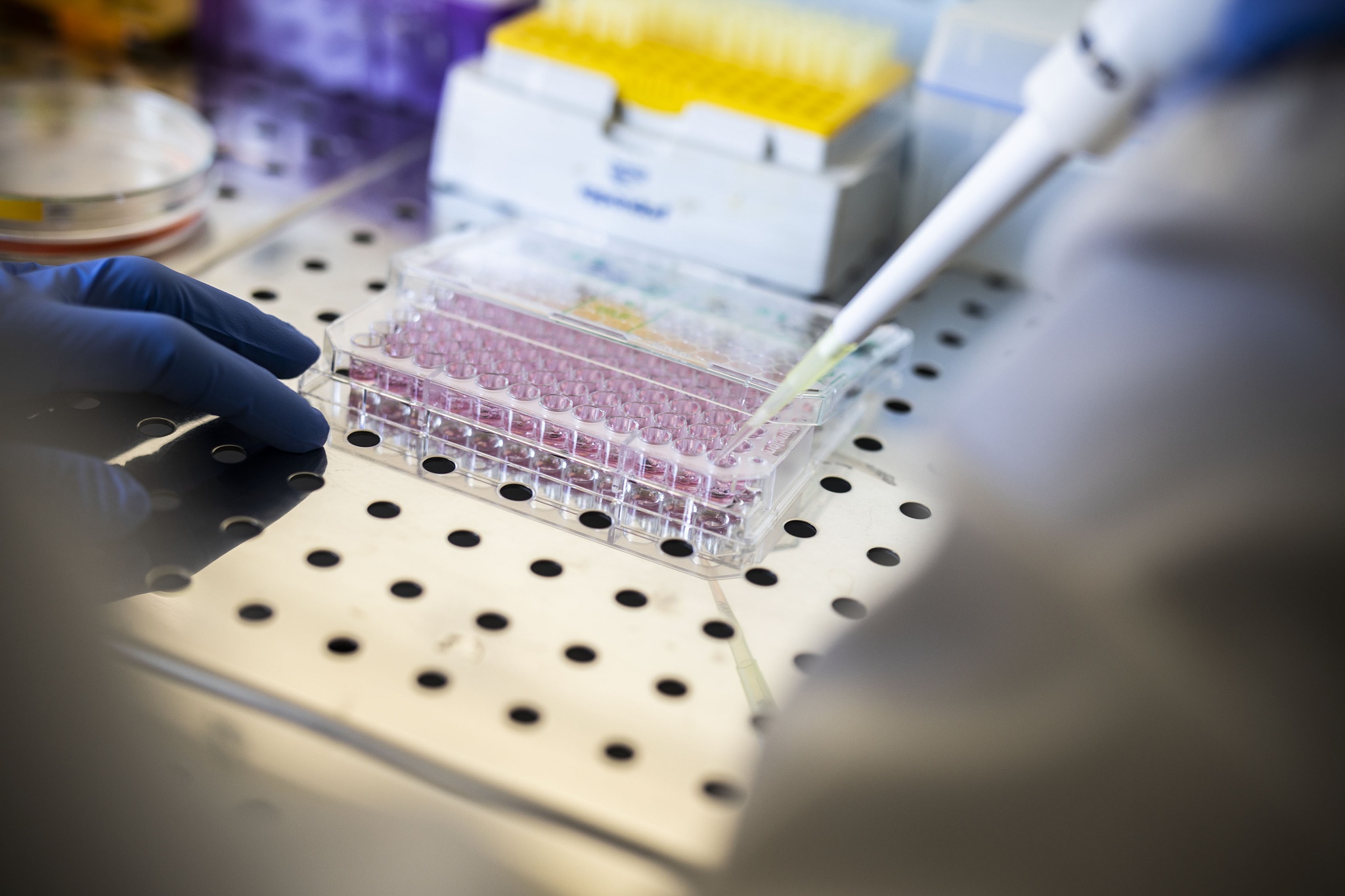 Região Norte cria plataforma para definir estratégias de inovação na saúde