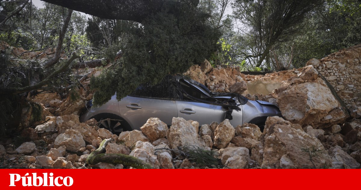 Lisbon Metropolitan Area reports losses of around 270 million due to bad weather