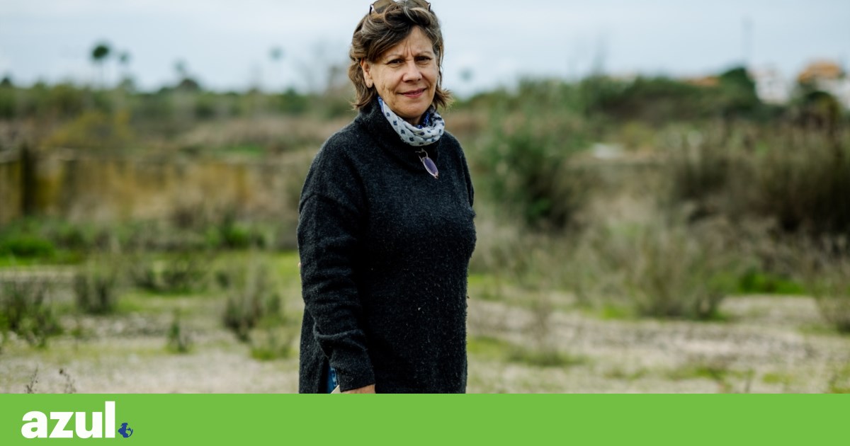 Environmental Fund invested 3.6 million euros, but Alagoas Brancas remain at risk