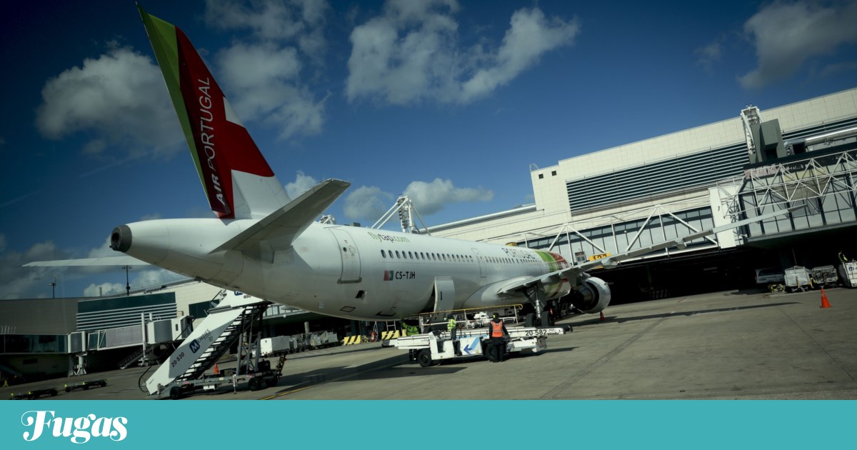 TAP announces more Porto and Brazil routes and launches Lisbon-Orlando in Autumn