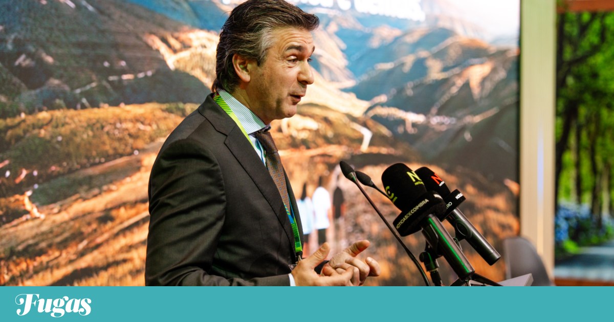 Rui Ventura: "Central Portugal is open, safe, and can be visited"