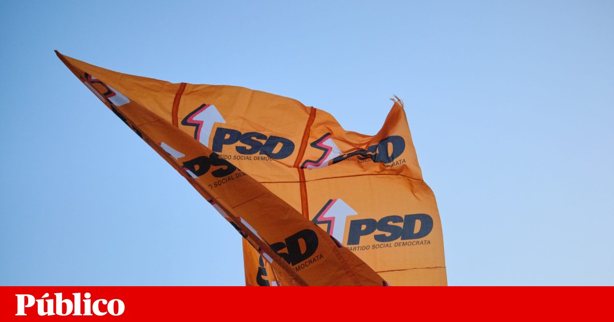 Pedro Alves vence concelhia do PSD de Viseu já com foco nas eleições autárquicas | PSD Pedro Alves vence concelhia do PSD de Viseu já com foco nas eleições autárquicas | PSD
