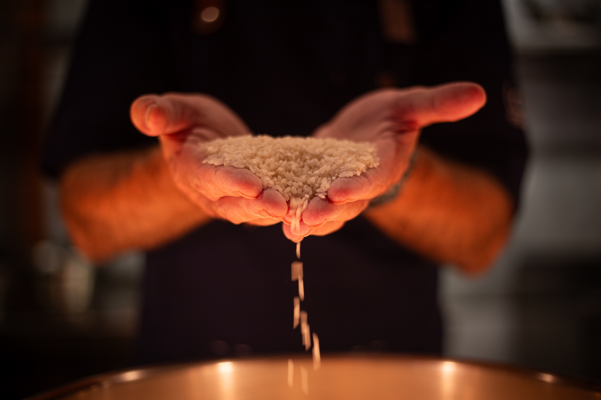 Catarina Póvoa - 13 Setembro 2024 - Portugal, Cascais - Pratos confecionados com Arroz Caravela (primeiro Carolino português) pelo Chef Vítor Sobral, no seu restaurante Lota da Esquina. Grãos de arroz