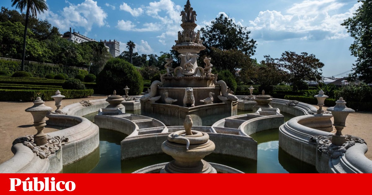 Which paintings or statues featuring animals are there in Lisbon? A project is searching for them because they also tell the city's history