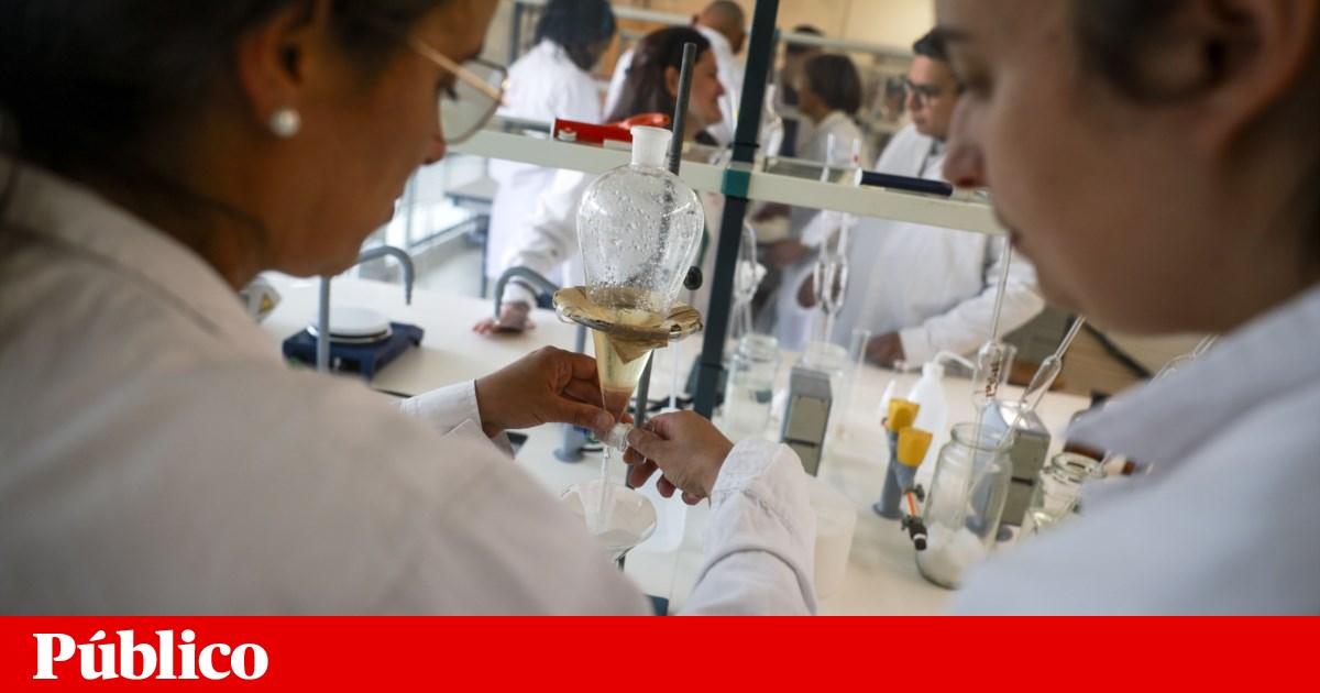 Union denounces failures in the career progression of university teachers. Rectors call for an "emergency package"