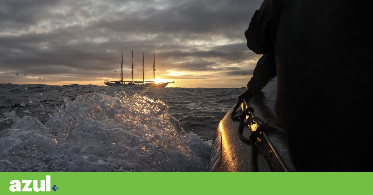 Marine reserve in Gorringe and Madeira-Tore risks being "merely on paper", warns Zero