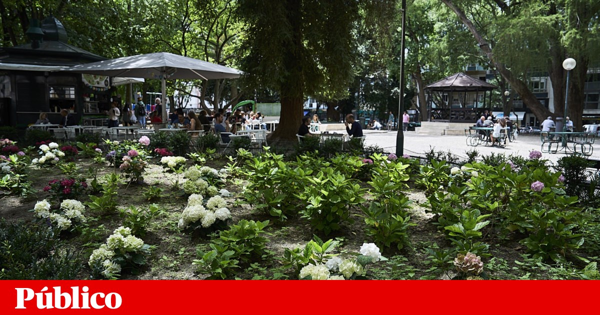 Feira do livro só de poesia vai ocupar o Jardim da Parada em Lisboa | Lisboa Feira do livro só de poesia vai ocupar o Jardim da Parada em Lisboa | Lisboa