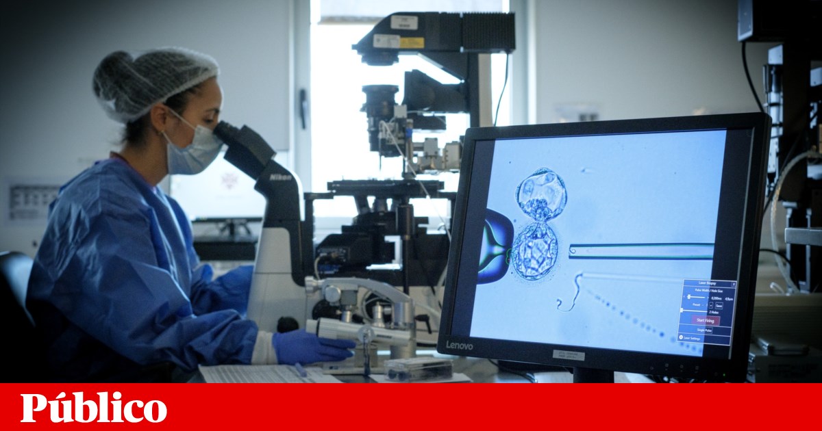 Gestação de substituição: associação escreve a Seguro e lembra atraso do Governo | Fertilidade Gestação de substituição: associação escreve a Seguro e lembra atraso do Governo | Fertilidade