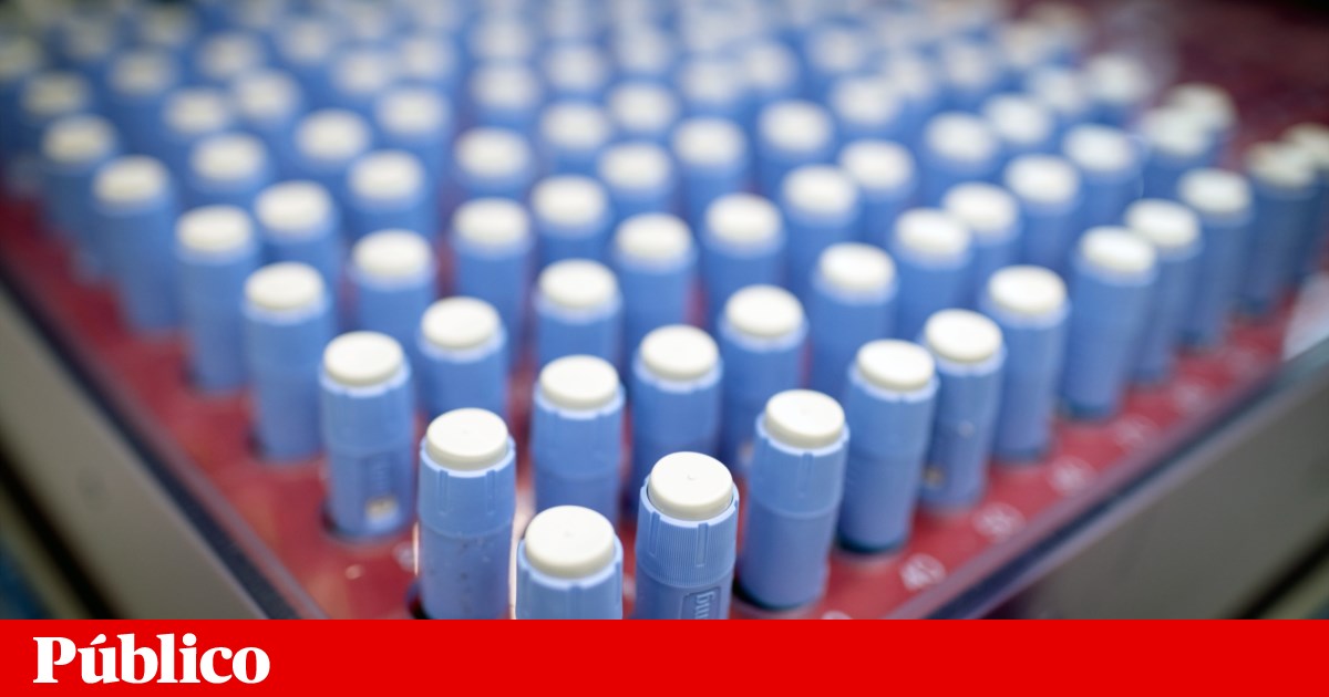 Generic Ozempic could cost less than three euros per month, study shows