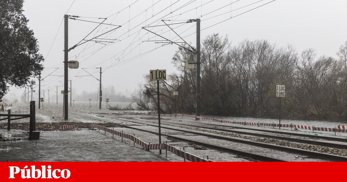 Douro line has reopened, Beira Baixa only in six months and Oeste reopens partially this month
