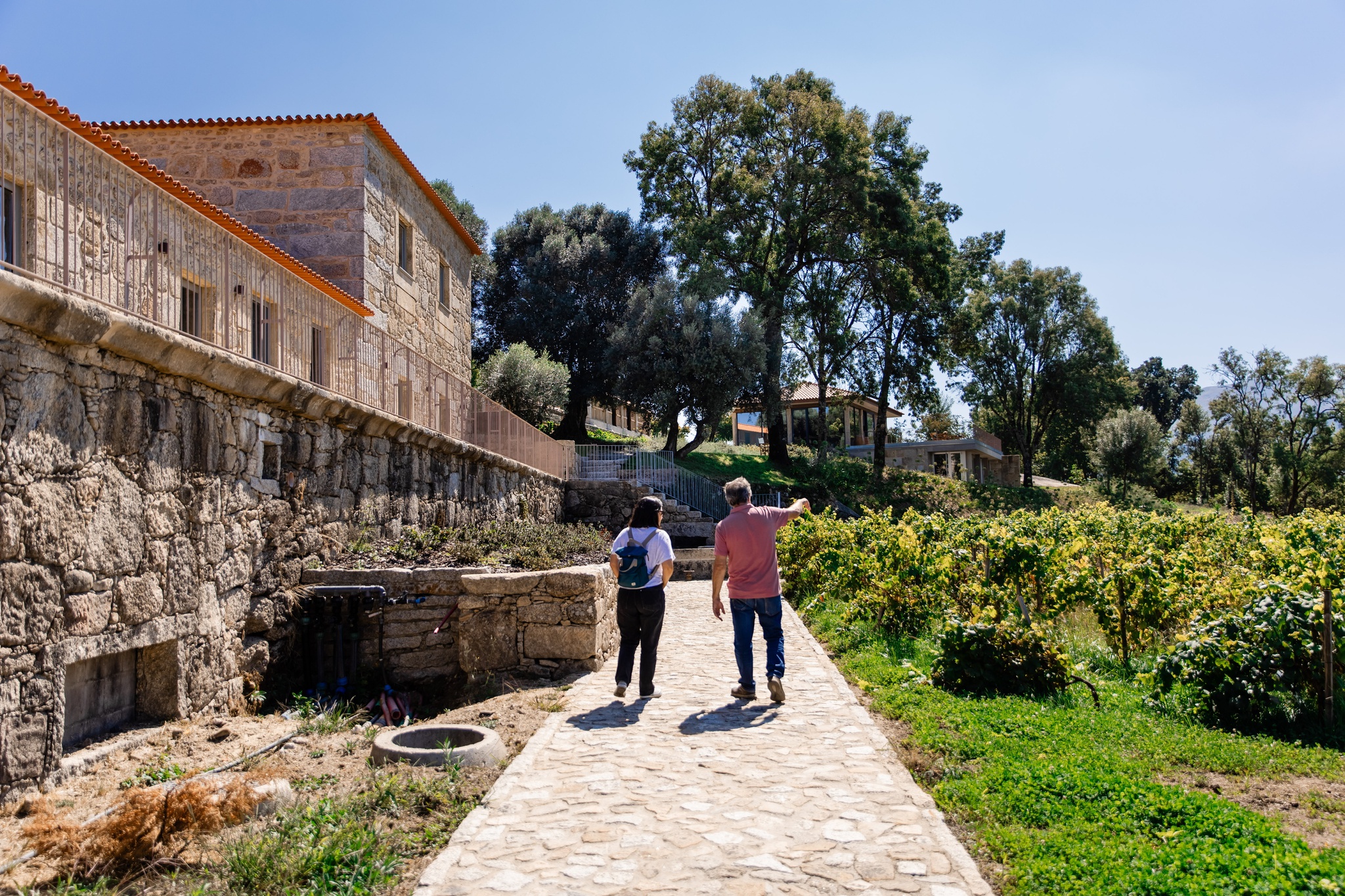 dao-,premios,bairrada,vinhos,douro,fugas,