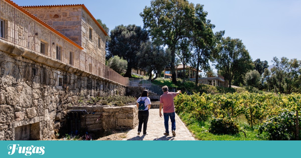 Grandes Escolhas Best of the Year: the white wine is from Monção and the rosé is already an award-sweeper