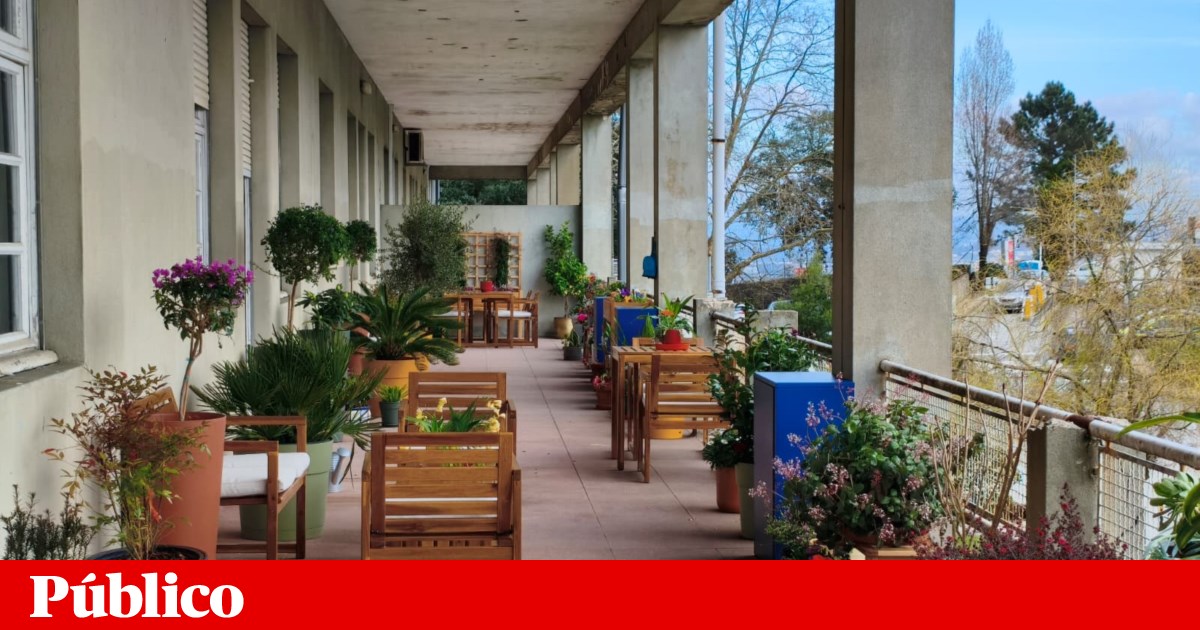 Swapping funeral flowers for donations funded new balcony at Gaia Hospital