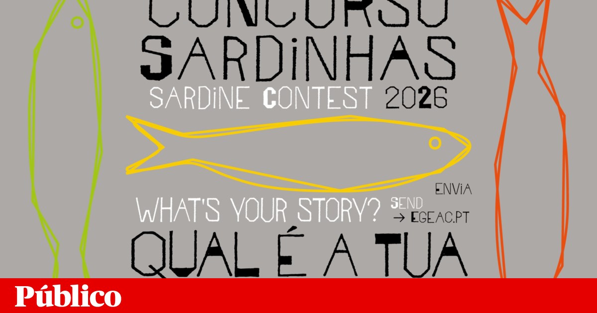 What story fits in a sardine? Lisbon launches a creative challenge open to everyone again