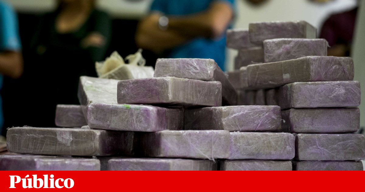 PSP made more drug seizures in 2025, but the quantity decreased