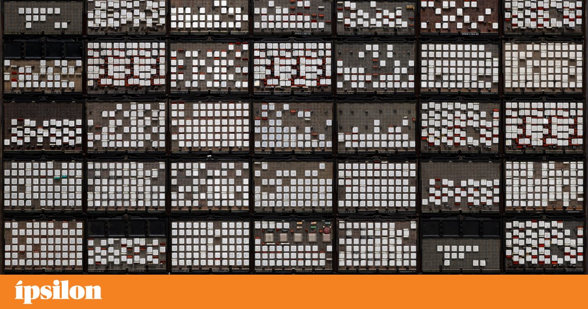 João Paulo Feliciano rescues art from almost nothing