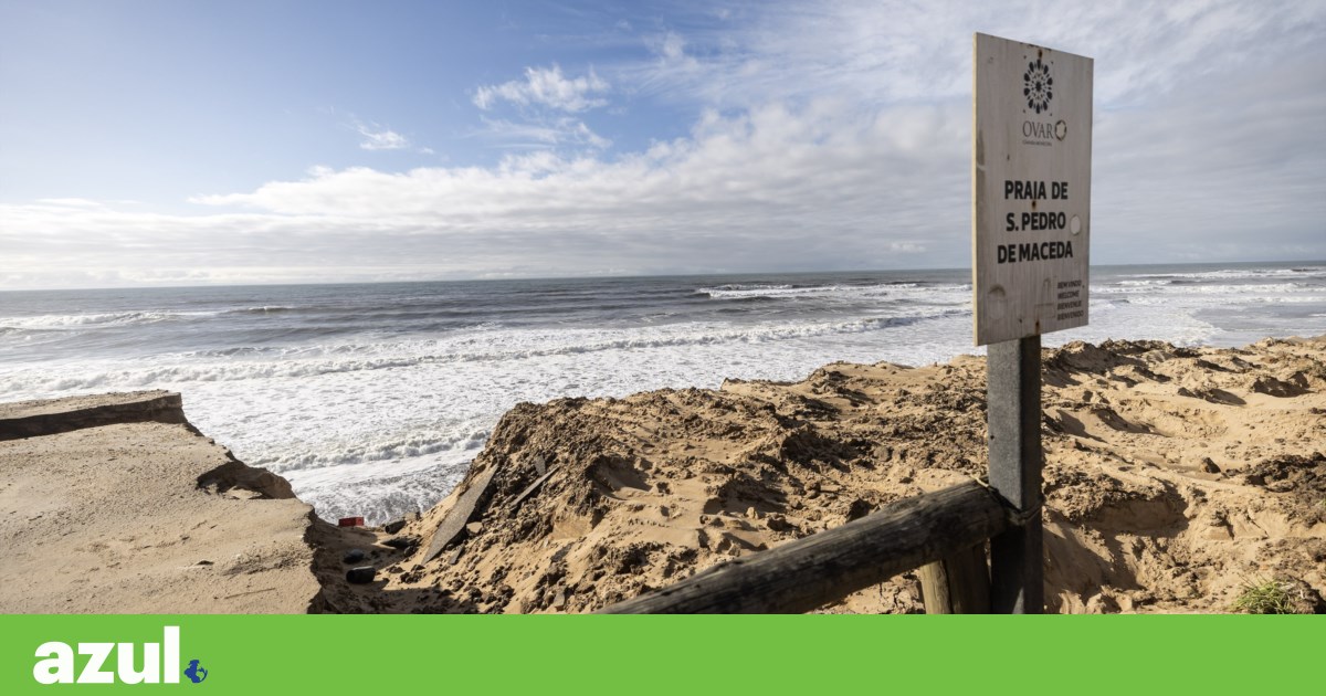 Some coastal areas have retreated 20 metres: Government to invest 111 million euros in recovery