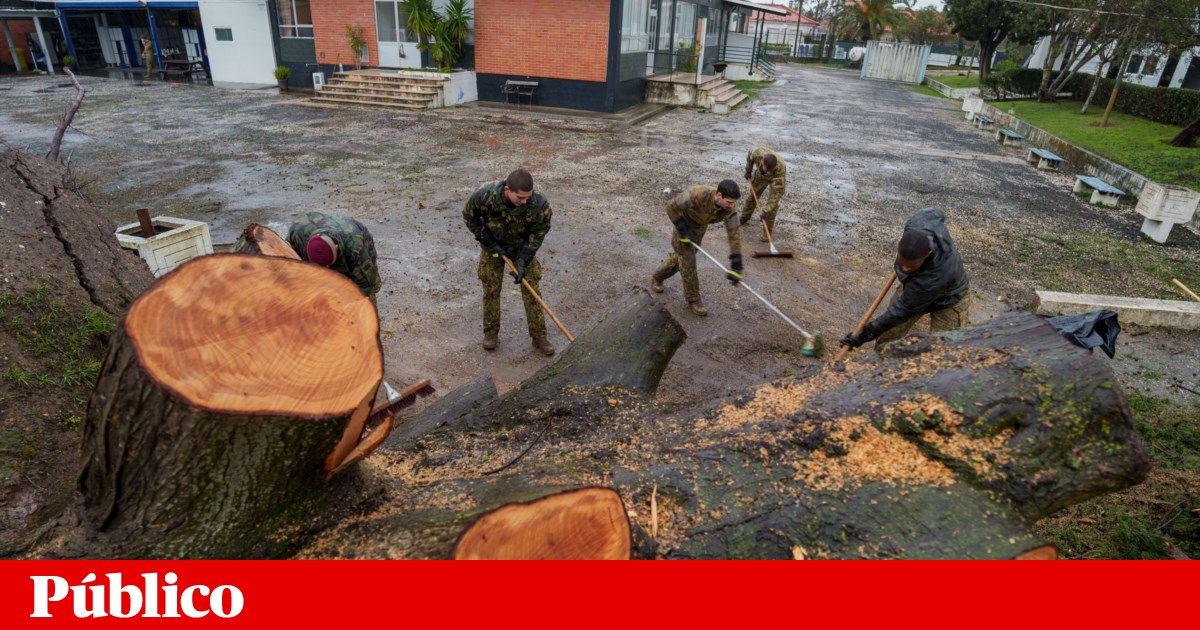 Bad weather: Marinha Grande raises losses to 143 million euros