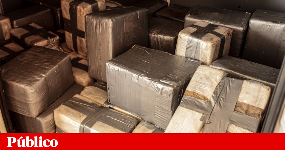 Over 25 tonnes of cocaine seized in 2025: a 15-year record