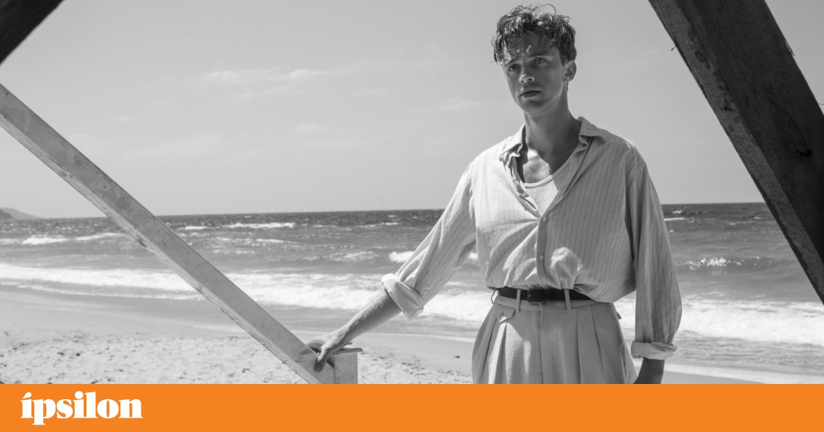 Our Oscars; and Camus' The Stranger arriving in cinemas: how to view it?