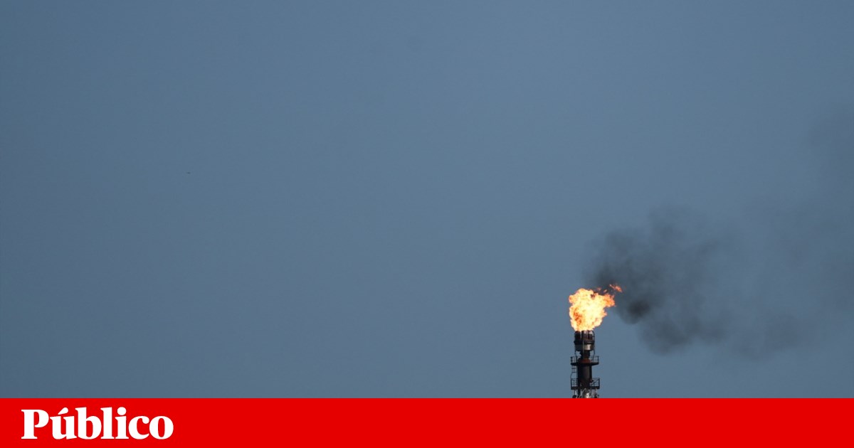 Oil remains above 100 dollars despite measures to lower prices